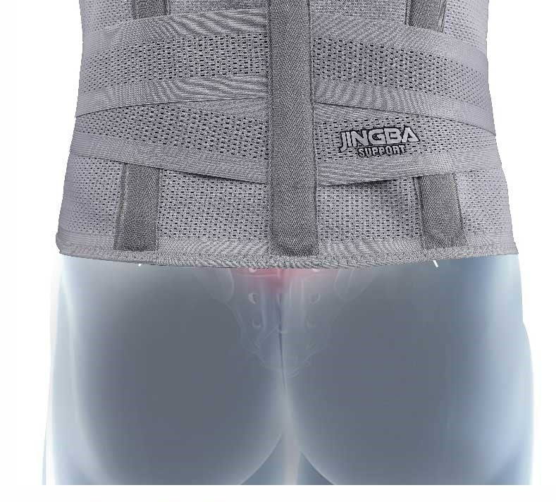 Fitness Waist Support Belt